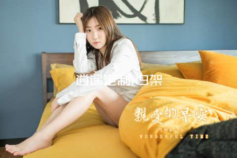 逍遥定制k9架
